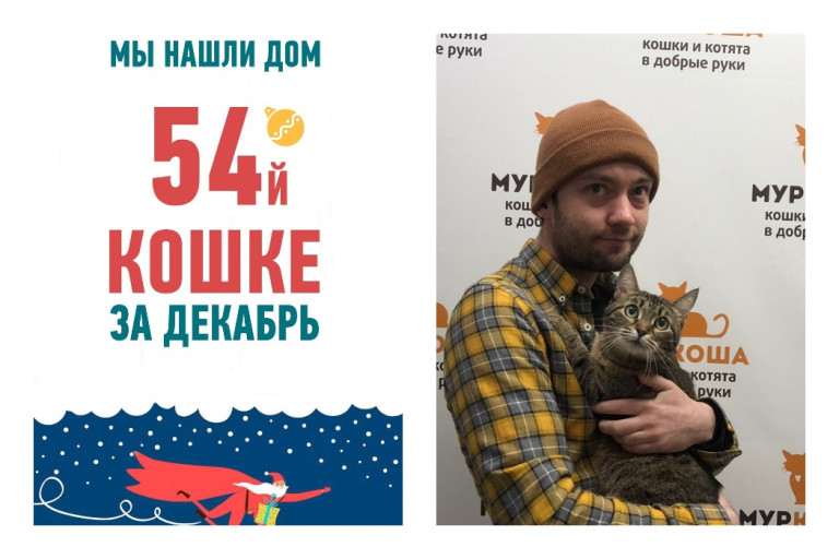 Потребовалось меньше двух месяцев, чтобы найти чудо-хозяина для двухлетней Момо!