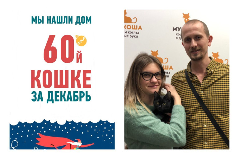 Лезгинка стала домашней любимицей!