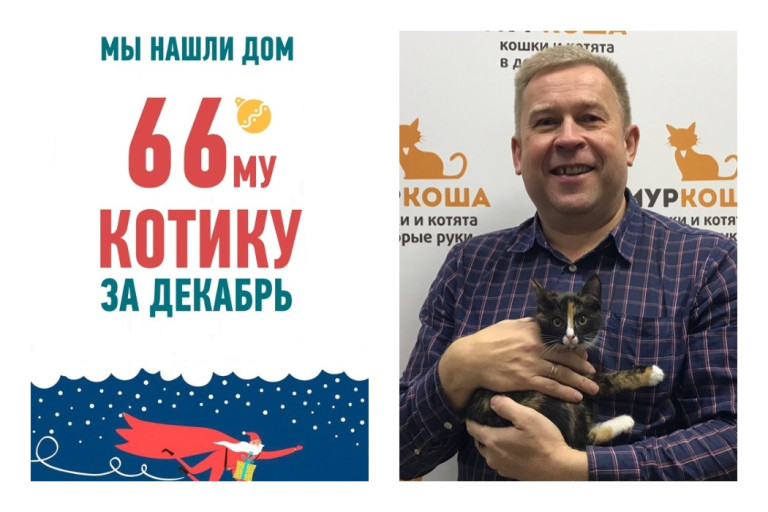 Всего за месяц котенок Равена обрела новый дом!
