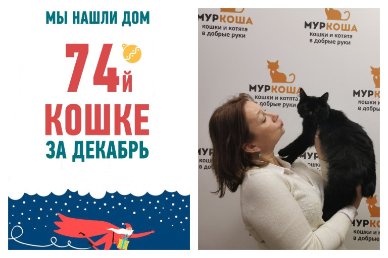 Мы помогли шестимесячной Рейве стать гражданкой Швейцарии!
