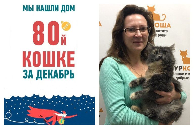 Уезжает в новый дом годовалая кошка Сансара!