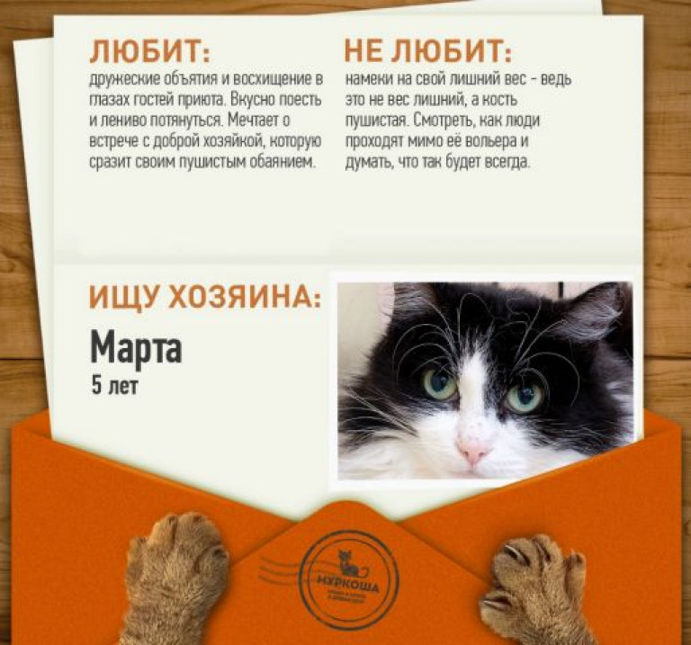 Наша Марточка неустанно ждёт своего человека!