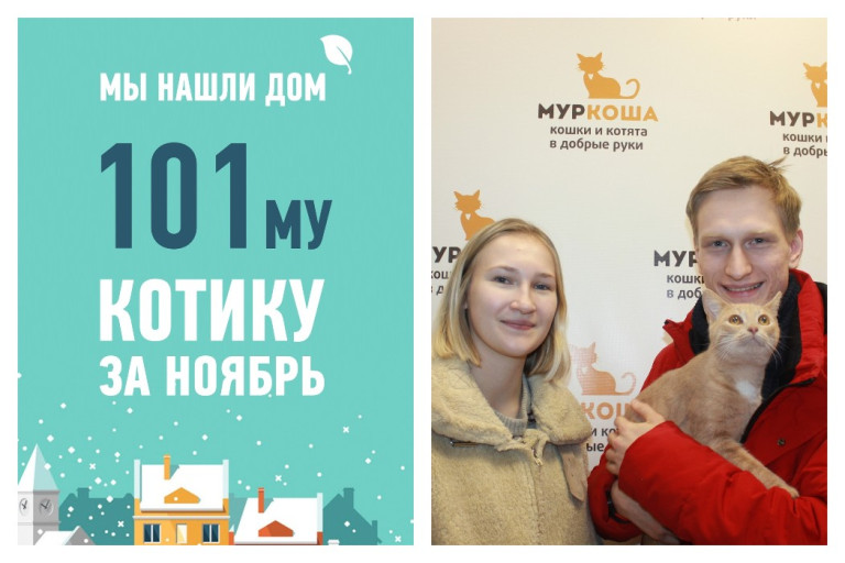 У котика Лосяша появились семья и уютный дом спустя месяц в приюте!