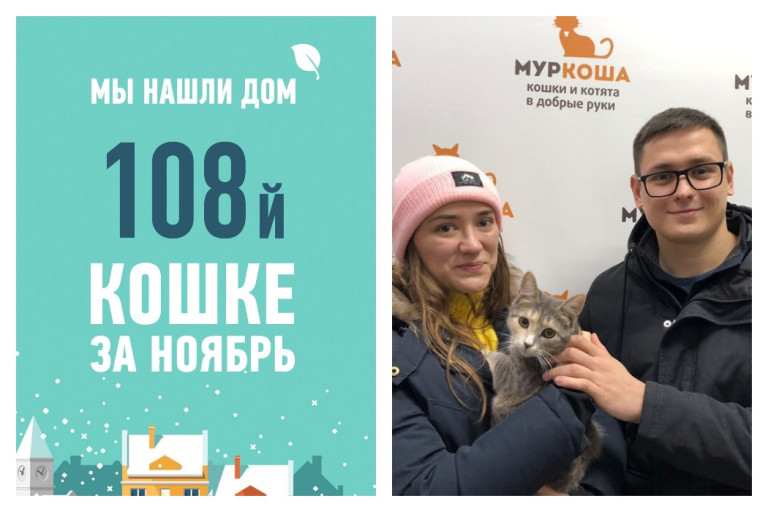 Счастливая домашняя жизнь начинается у кошечки Барышни!