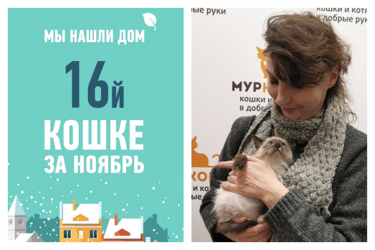 Менее, чем за 2 месяца, стала домашней крошка Точка