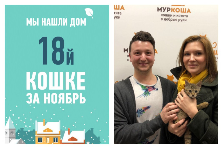 Не прошло и двух месяцев, как Акуся стала домашней любимицей!