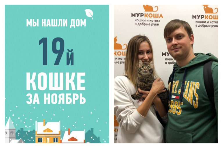 Полугодовалая Чичика отправляется устраивать свое домашнее счастье!