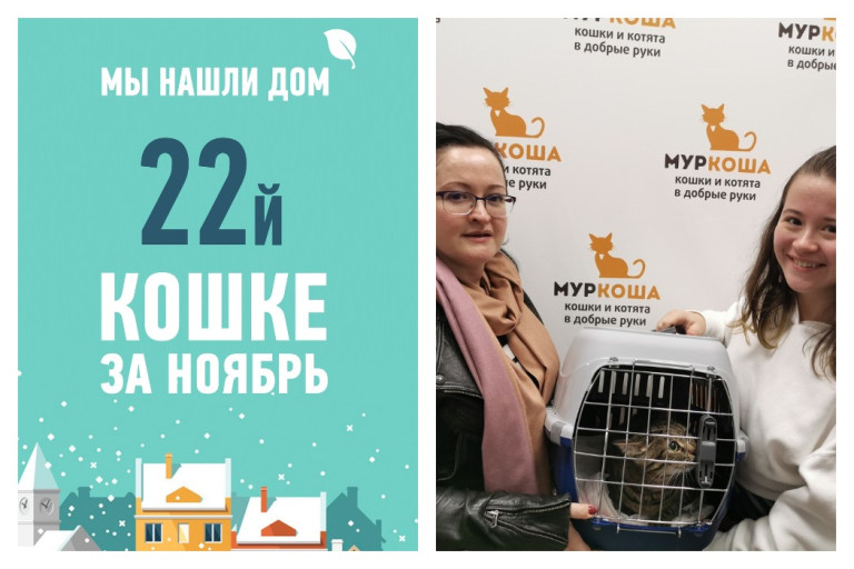 Особенной Телле все-таки улыбнулась удача!