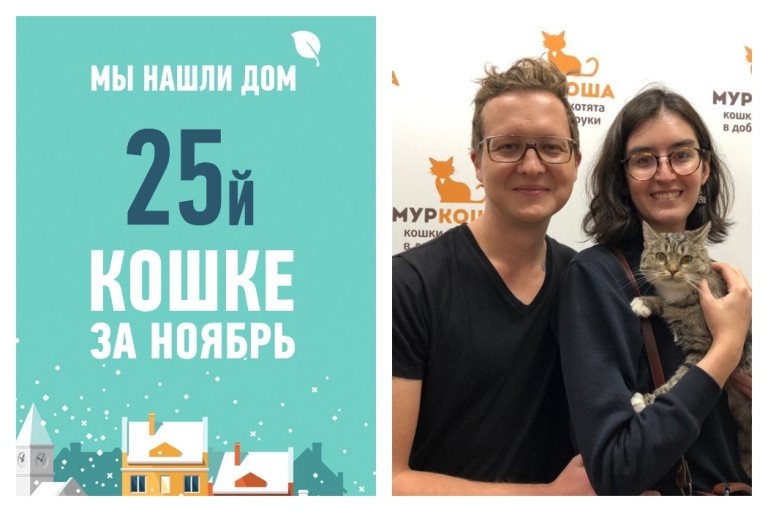 Ласковую Полу забрали домой опекуны!