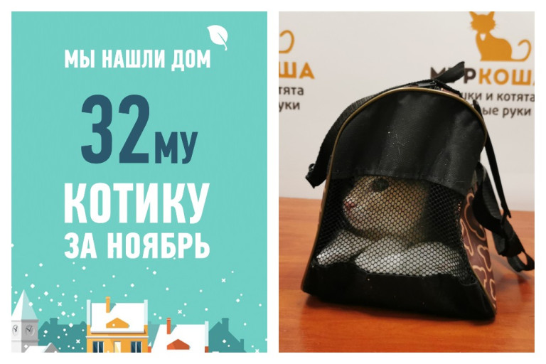 Трехлетний Десанж уехал жить к тому, кто спас ему жизнь!