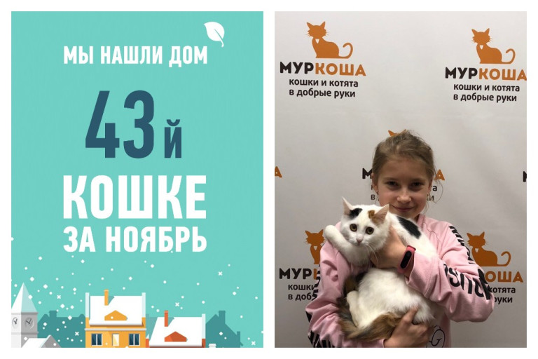 Пугливая Злата обрела любящую семью!