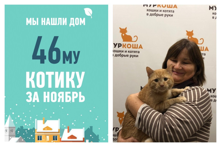 Мы нашли дом для Барсюши всего за полтора месяца!
