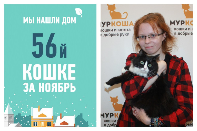 Отважная Кифисия, найденная в пещере, стала домашней!