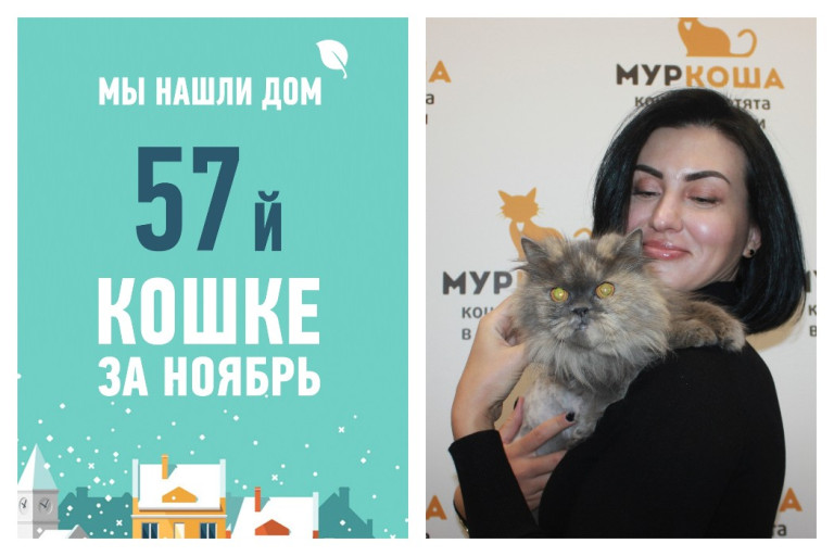 Спустя два месяца в приюте отправляется домой одиннадцатилетняя кошка Соска!