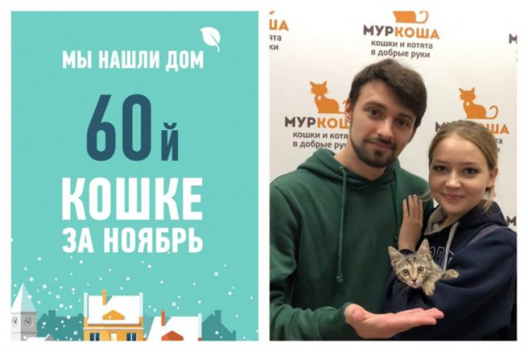 Крошка Мошка знакомит с новой семьей!