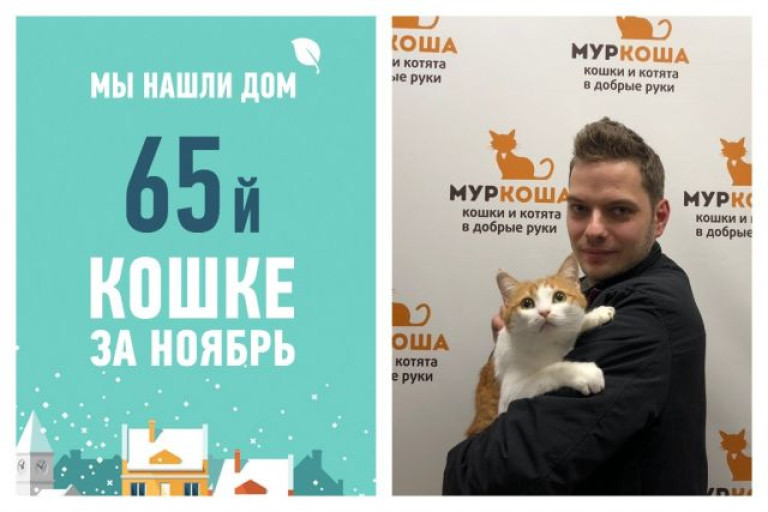 Прекрасный принц для чудесной кошки Жужи!