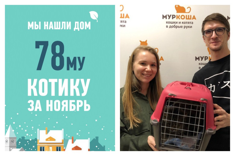 Ура! У красавчика Конрадо появились любящие хозяева!