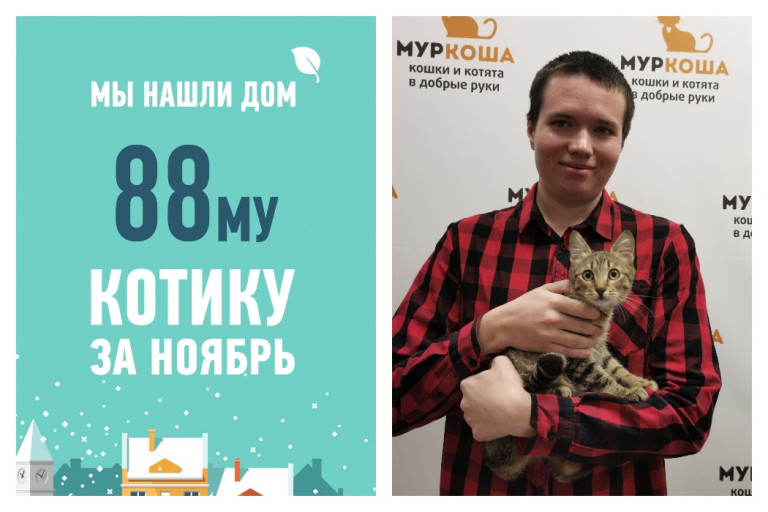 Провожаем в домашнюю жизнь котенка Смельчака!