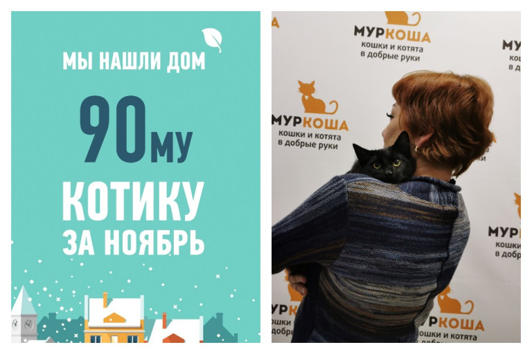 Домашнее счастье для котика Северьяна!