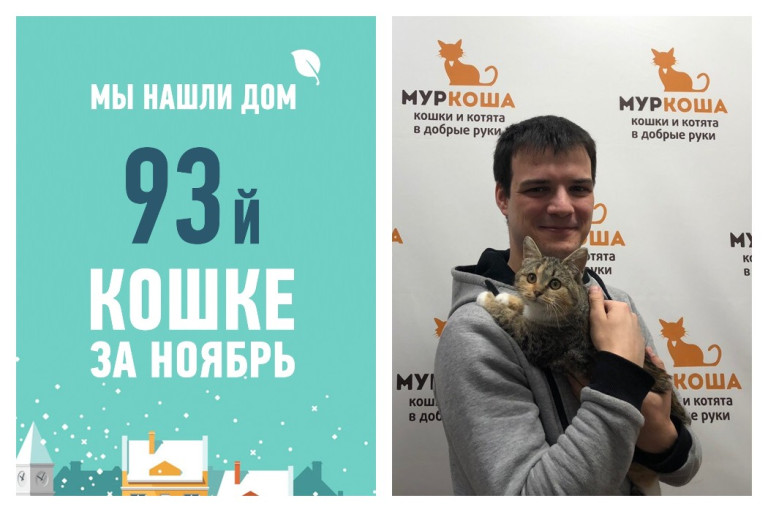 Меньше месяца на поиск дома для кошки Поляны!