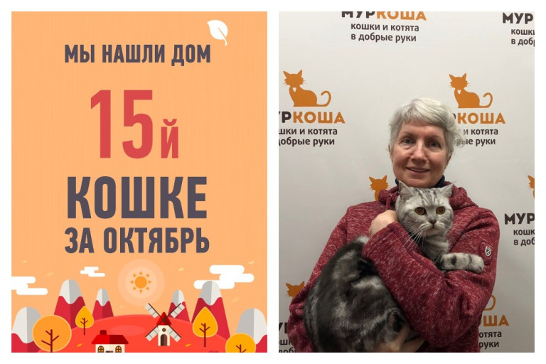 Кошка Басечка нашла дом...всего за три часа!