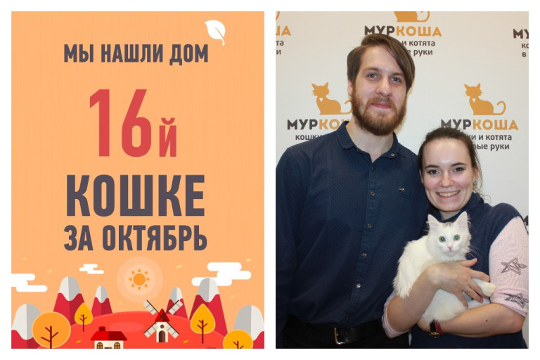 За красавицей Жасминой приехала чудесная семья!