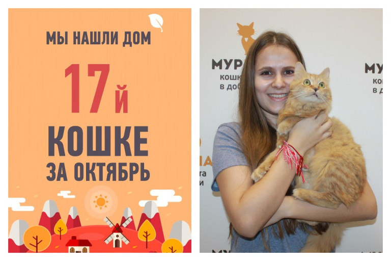Новая жизнь начинается у кошки Джинджер!