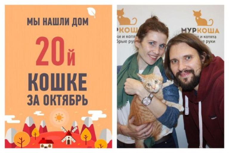 Кошка Сараби рада познакомить со своей суперсемьей!