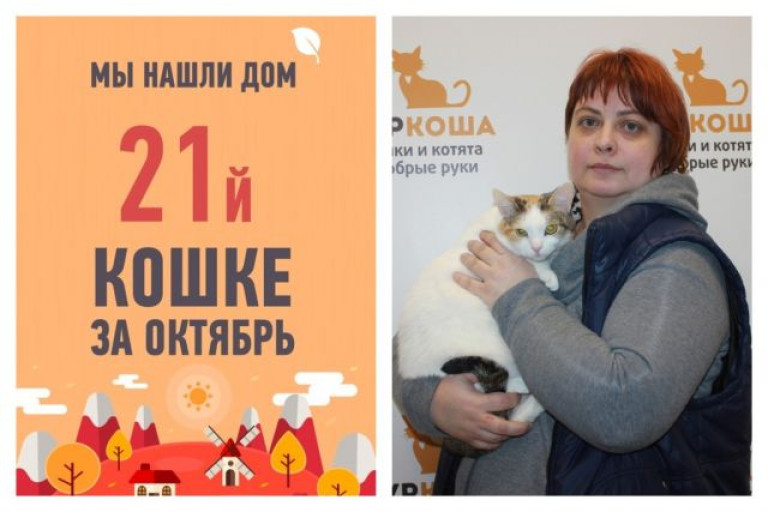 Долгожданное счастье для кошки Алисы!