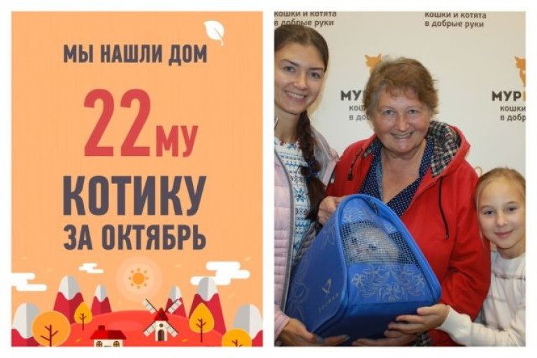 Всего за две недели стал домашним кот Прусик!