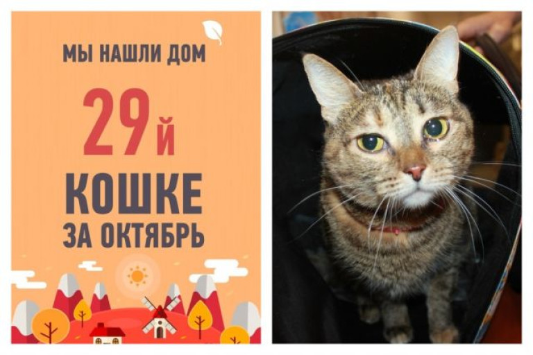 Прошло меньше месяца, а пятилетняя Алечка уже снова дома!