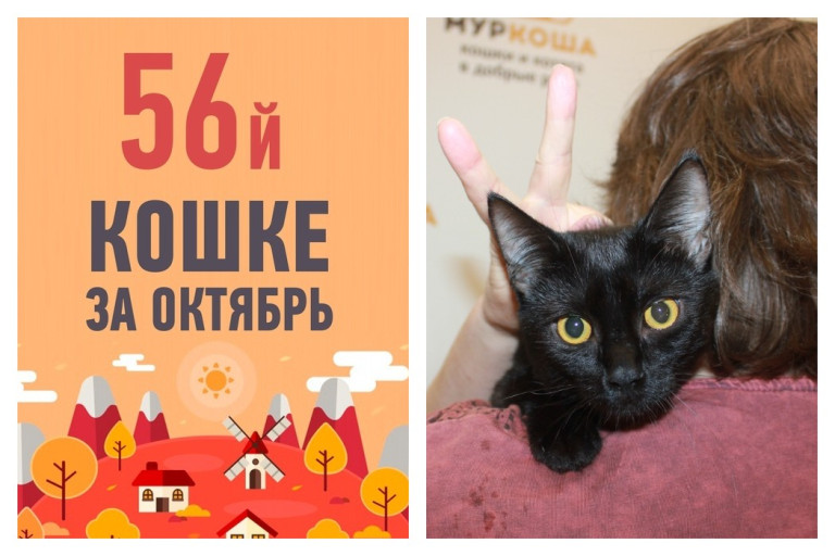 Царственная Мадам отправляется в новое королевство!