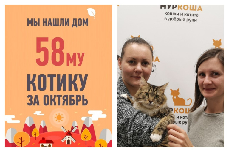 Новый дом для годовалого Майки!