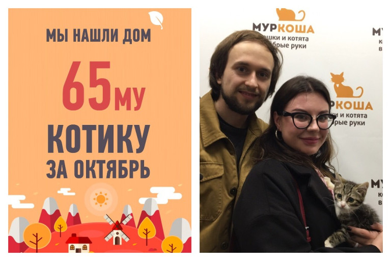 Всего за месяц мы помогли котенку Рассвету стать домашним!