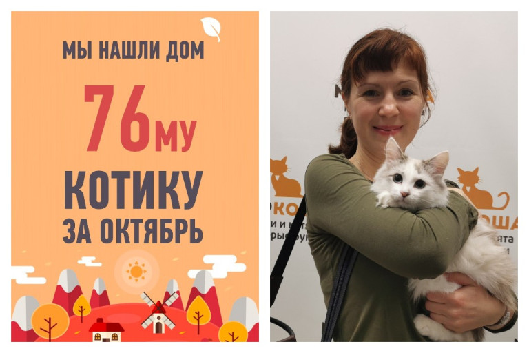 Шестимесячный котик Семифредо стал домашним!