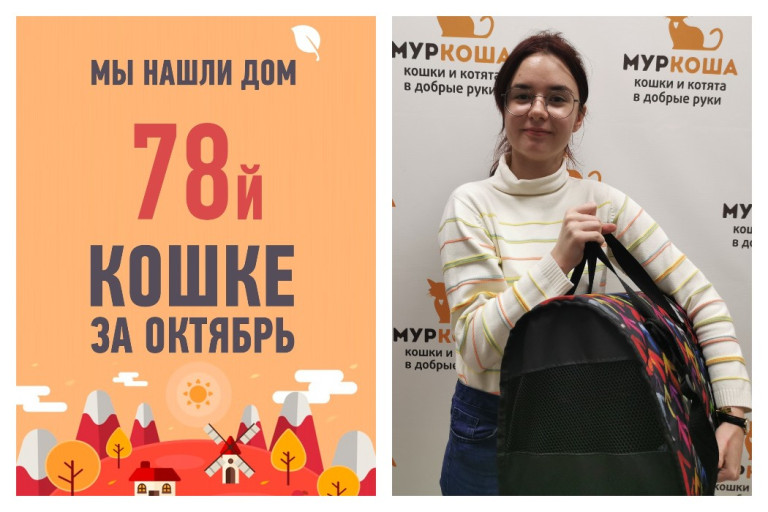 Трехлетняя Магнезия снова стала домашней любимицей!