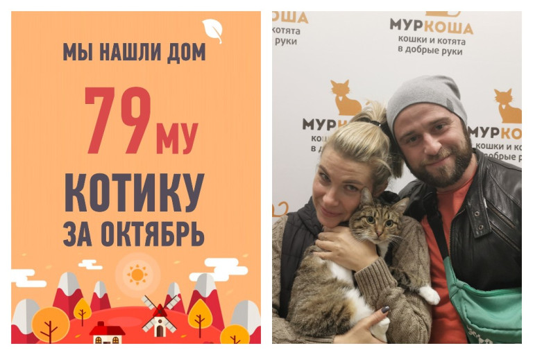 У котика Дейка, брошенного в парке, появилась суперсемья!