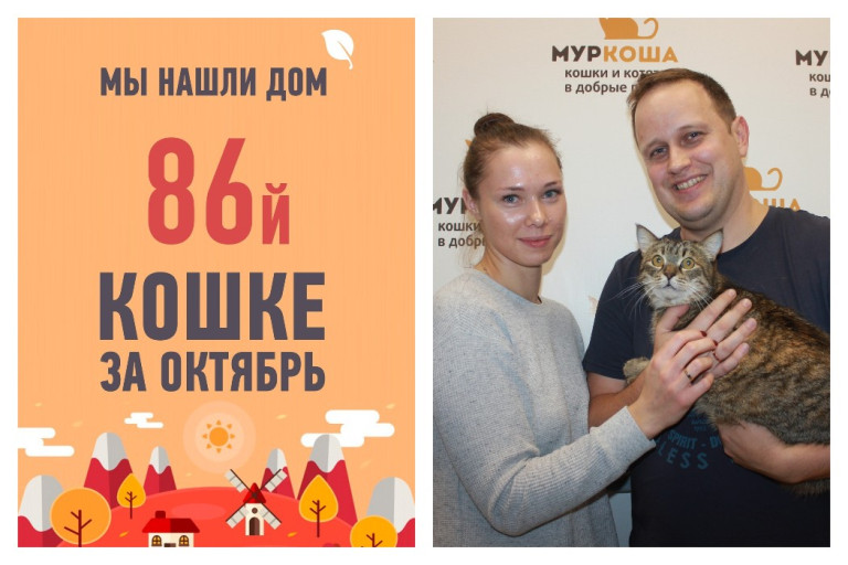 Отправляем домой двухлетнюю кошку Либи!