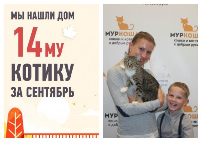 Годовалый кот Брюлон встретил свою семью спустя 1,5 месяца!