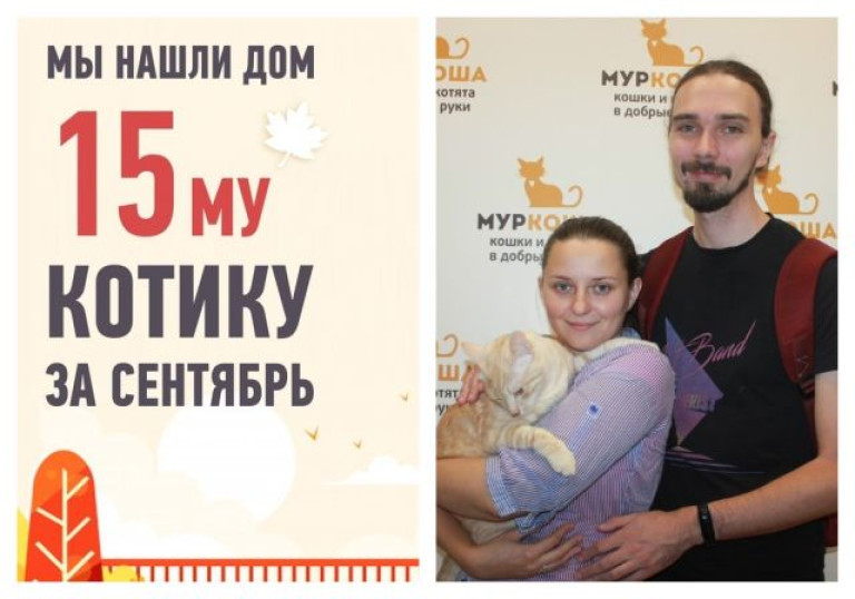 Уличный котик Лофт стал домашним любимцем!
