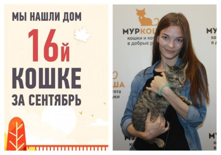 Семимесячная Бариста, найденная в коробке в лесу, стала домашней!