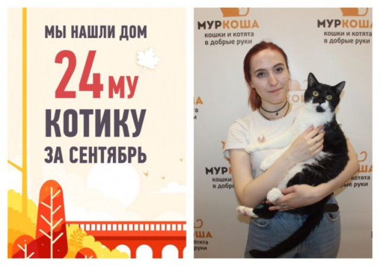 Трехлетний кот Фидель отправился домой!