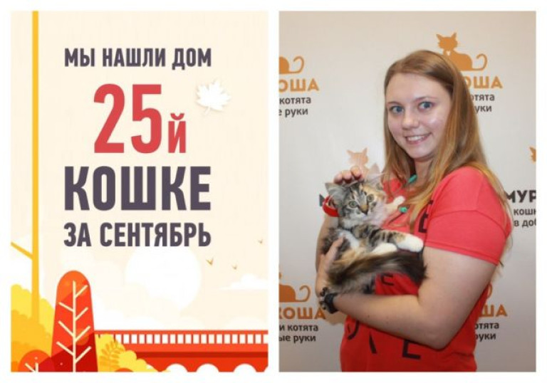 Мы нашли новый дом для крошки Фортии всего за пять недель!