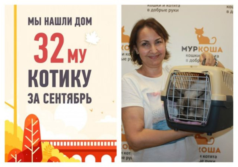 счастливая история обретения дома кота Ювентуса!