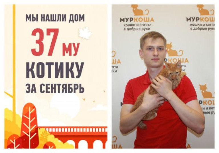 Котенок Санечка уезжает в счастливую жизнь!