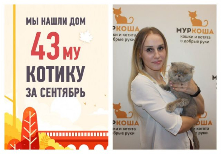 У особенного котика Хайзенберга появился надежный друг!