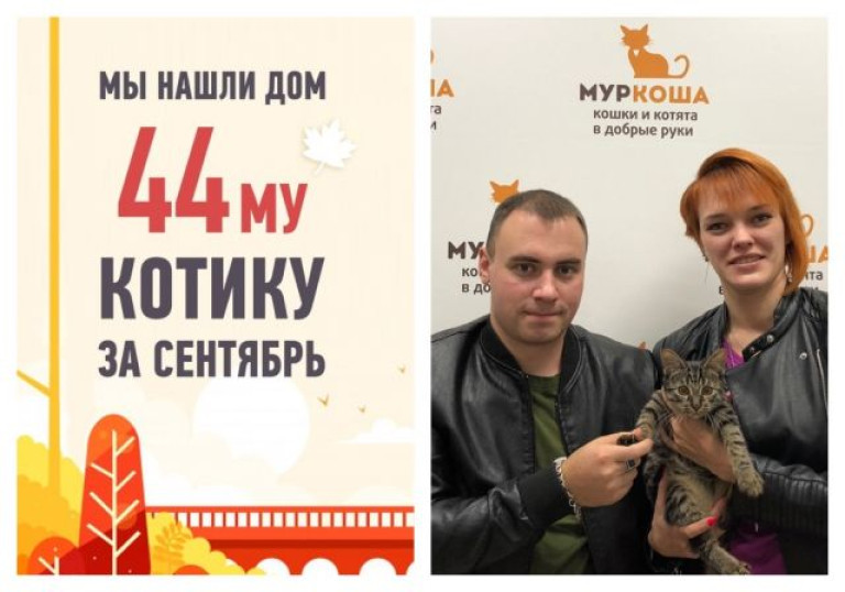 Мы познакомили котенка Локи с его хозяевами спустя месяц в приюте!