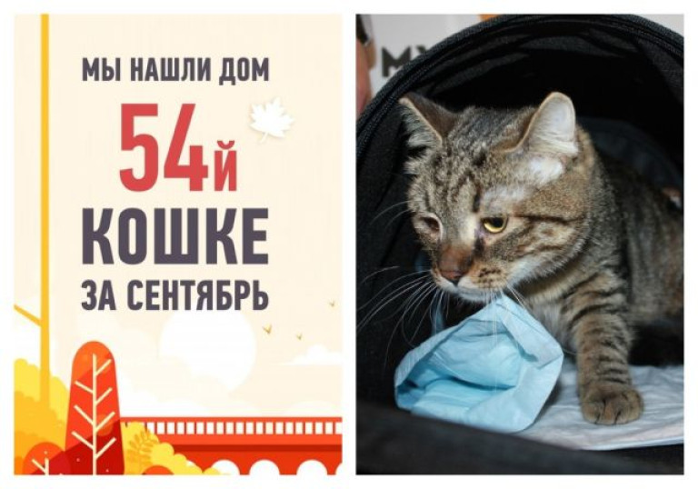 11-месячная Айно стала любимой!