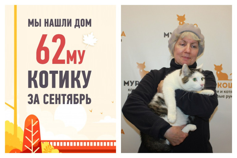 Вторая попытка на счастье у котика Бриана!