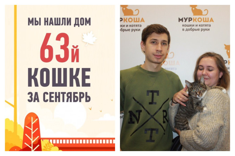 Всего за месяц мы помогли Эллине снова стать домашней!